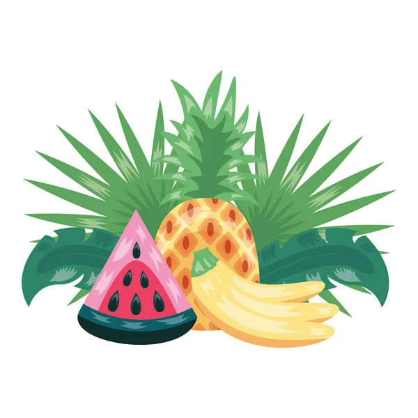 Sandía de plátano piña frutas tropicales follaje exótico — Vector de stock