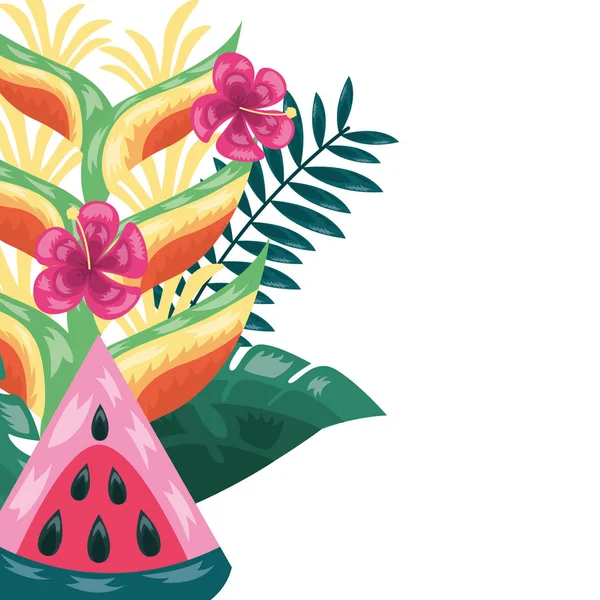 西瓜花叶热带水果叶子 — 图库矢量图片