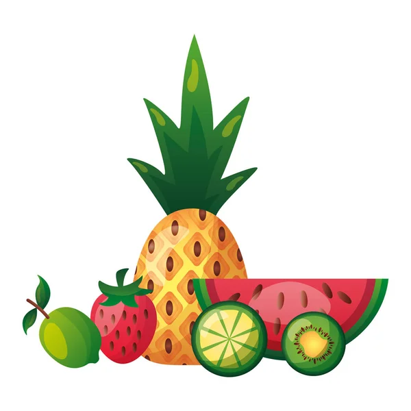 Tropische exotische Früchte Ananas Wassermelone Starwberry Limette Kiwi — Stockvektor
