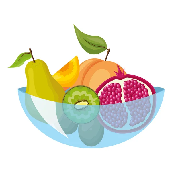 Conception de fruits tropicaux — Image vectorielle