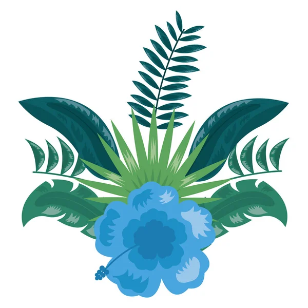 Tropické květiny zanechává botanické dekorace — Stockový vektor