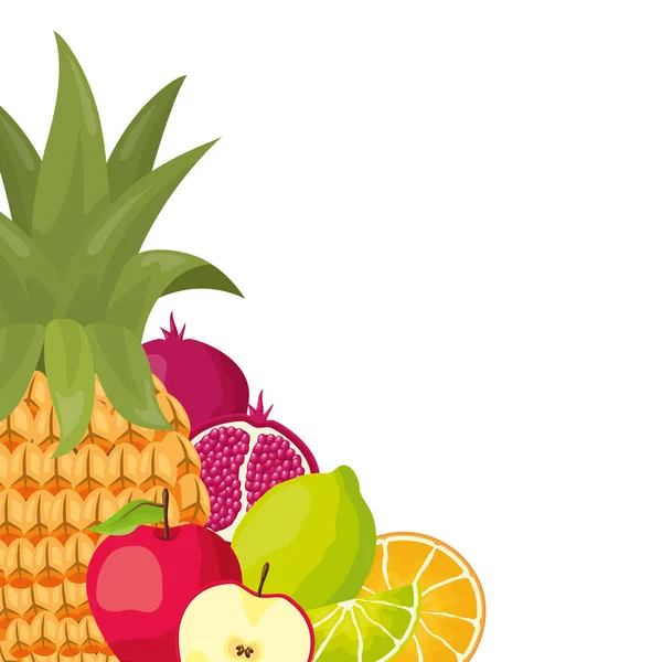 Conception de fruits tropicaux — Image vectorielle