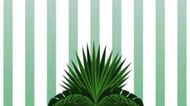 tropikal ve egzotik ananas meyve