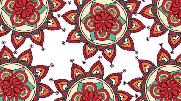 Ethnic mandalas boho style pattern — Stock Video