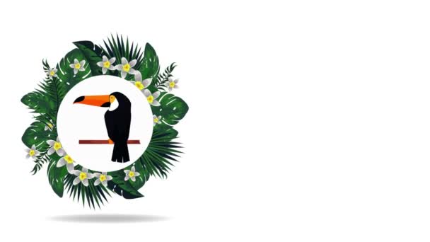 Egzotyczne Toucan i flamandzki w okrągłej ramie — Wideo stockowe