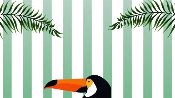 Exotic toucan and flowers animation — Stock Video
