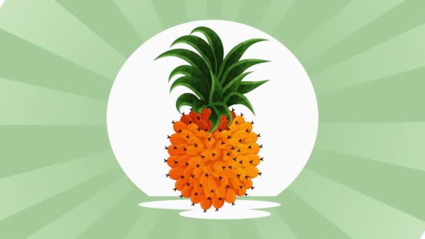Frutta tropicale ed esotica dell'ananas — Video Stock