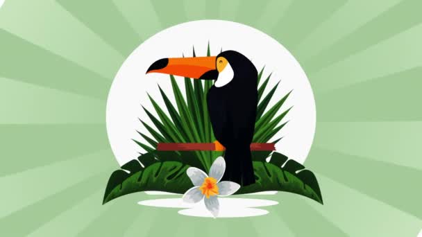 Εξωτικό Toucan και λουλούδια κινούμενα σχέδια — Αρχείο Βίντεο