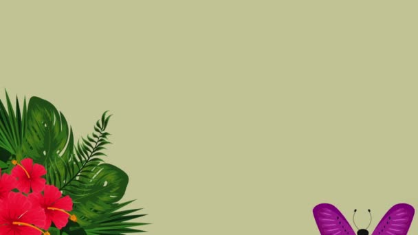 papillons abondants volant et fleurs tropicales animation 