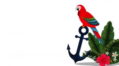 egzotik guacamaya kuş tropikal animasyon