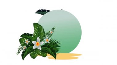 egzotik toucan ve çiçek animasyon