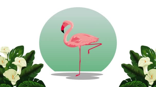 Tropická zahrada s exotickými ptáky a ananasovým animacemi — Stock video