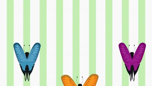 Beutiful butterflies flying animation hd — Stock Video