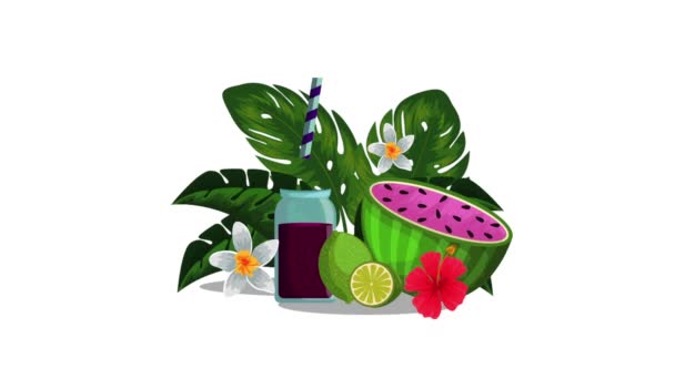 Färsk tropisk vattenmelon juice frukt — Stockvideo