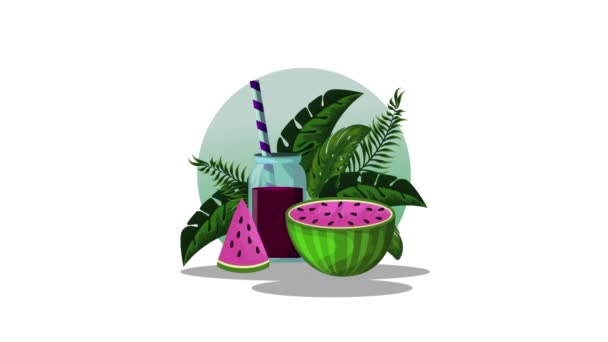 Taze tropikal karpuz suyu meyve — Stok video