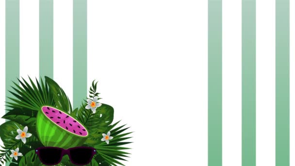 Свежие тропические и экзотические арбузы и солнечные очки — стоковое видео