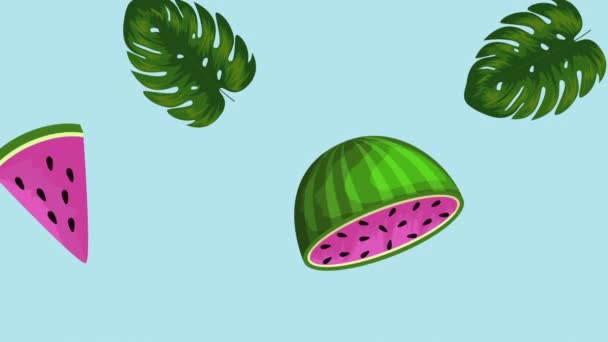 Fresh tropical and exotic watermelon and leafs — Stock Video