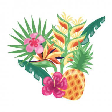 ananas egzotik meyveler tropikal yeşillik