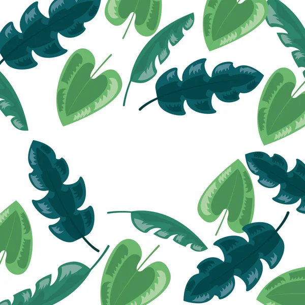 Roślinność liście liści natura tło zioła — Wektor stockowy