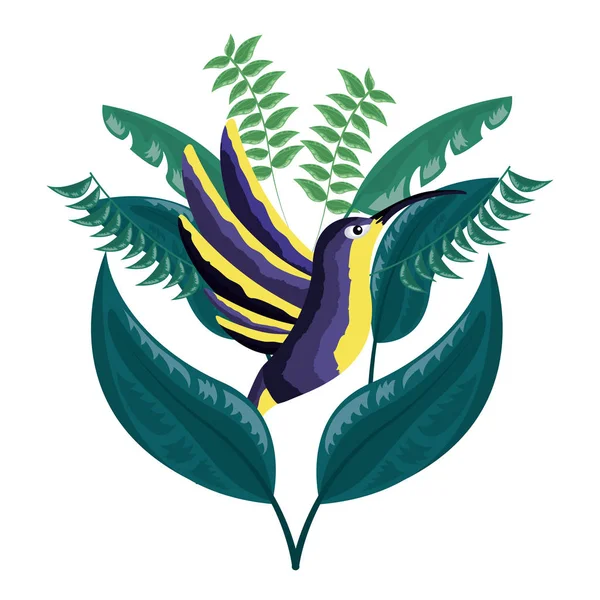Yeşillik doğa Hummingbird yaprakları — Stok Vektör