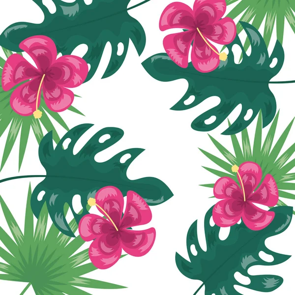 Fleurs tropicales feuilles de feuillage exotiques — Image vectorielle