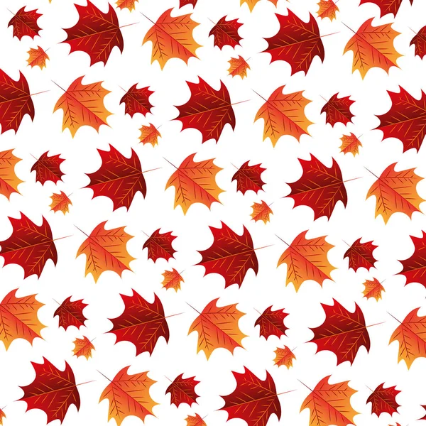 Herfst bladeren gebladerte witte achtergrond patroon — Stockvector