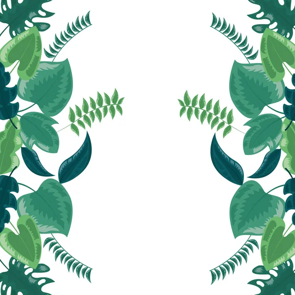 단풍 자연 테두리 잎 흰색 배경 — 스톡 벡터