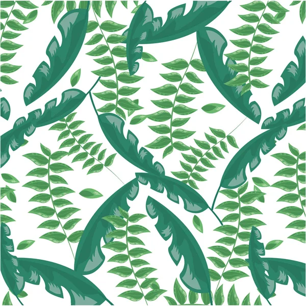 Foliage leaves greenery herbs botanical background — Stock Vector
