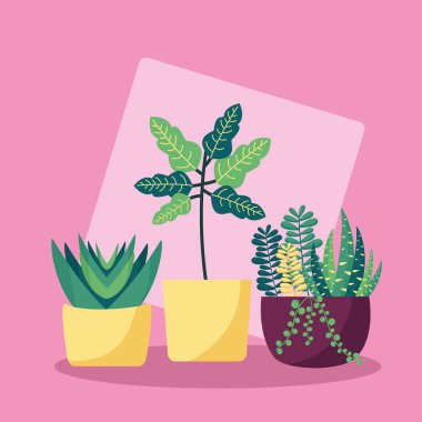 Dekoratif bitkiler düz görüntü tasarımı