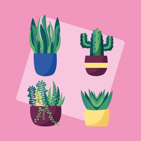 Plantas decorativas design de imagem plana — Vetor de Stock