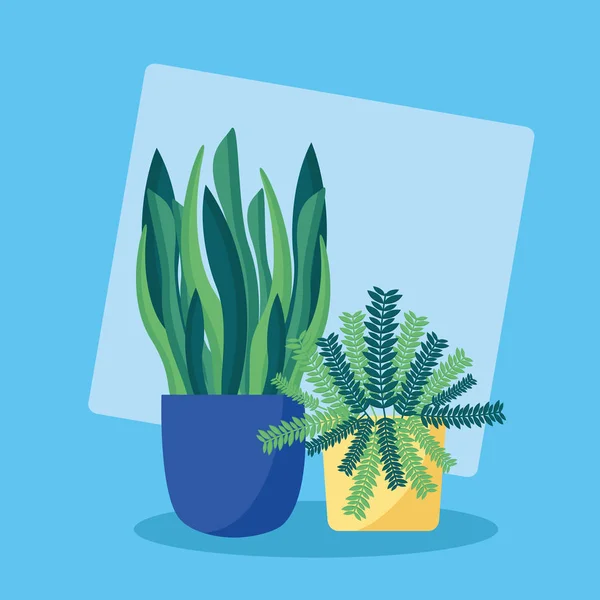 Plantas decorativas plano diseño de imagen — Vector de stock