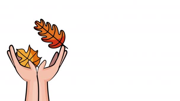 Olá estação de outono com as mãos levantando folhas e sementes animação — Vídeo de Stock