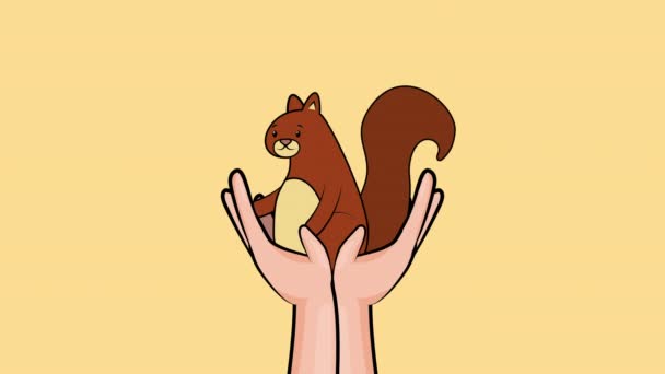 Hej höstsäsongen med händerna lyfta jordekorre animation — Stockvideo