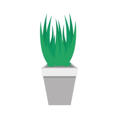 pot doğal simgesinde houseplant