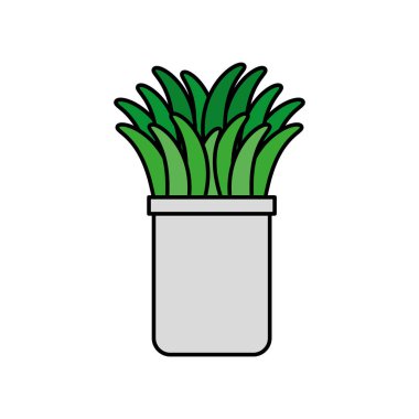 pot doğal simgesinde houseplant