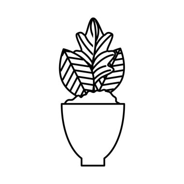 pot doğal simgesinde houseplant