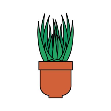 pot doğal simgesinde houseplant