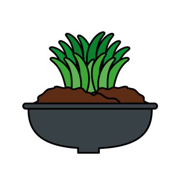 pot doğal simgesinde houseplant