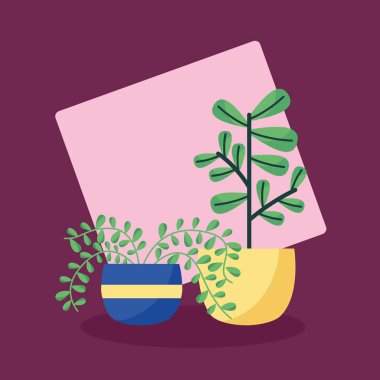 Dekoratif bitkiler düz görüntü tasarımı