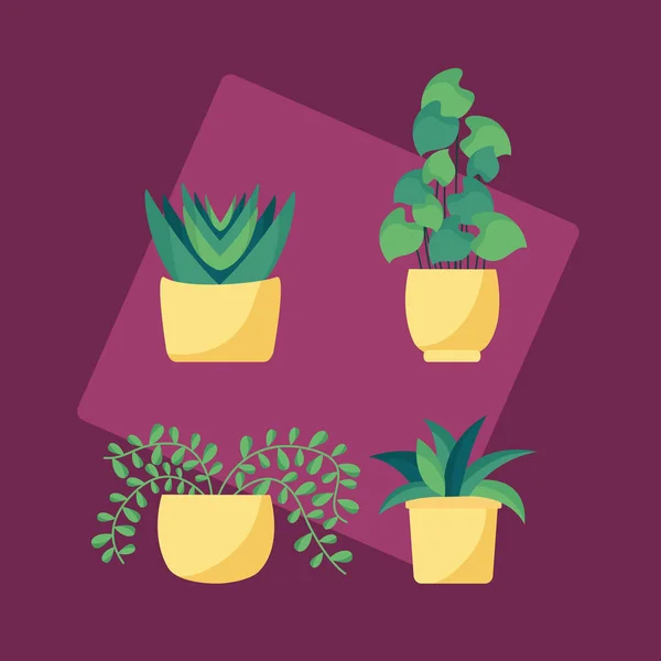 Plantas decorativas plano diseño de imagen — Vector de stock