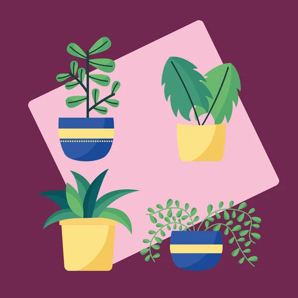 Plantas decorativas plano diseño de imagen — Vector de stock