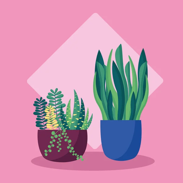 Plantas decorativas plano diseño de imagen — Vector de stock