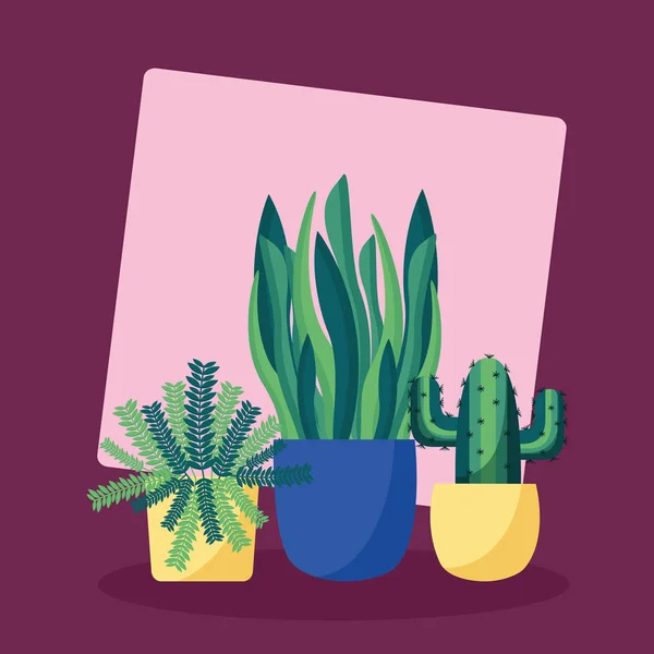 Plantas decorativas design de imagem plana — Vetor de Stock