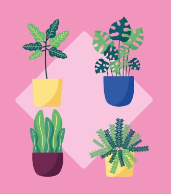 Dekoratif bitkiler düz görüntü tasarımı