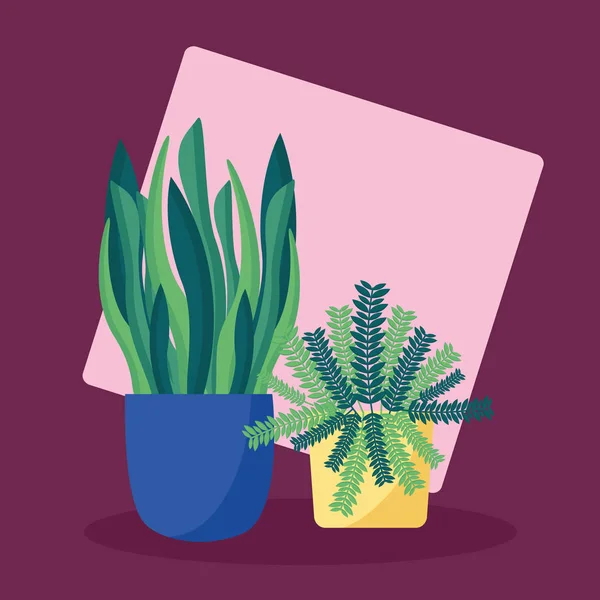 Plantas decorativas plano diseño de imagen — Vector de stock