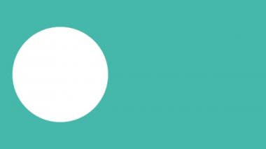 profesyonel doktor tıbbi karakter animasyonu