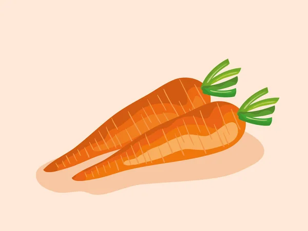 Carote sane verdure fresche nutrizione — Vettoriale Stock