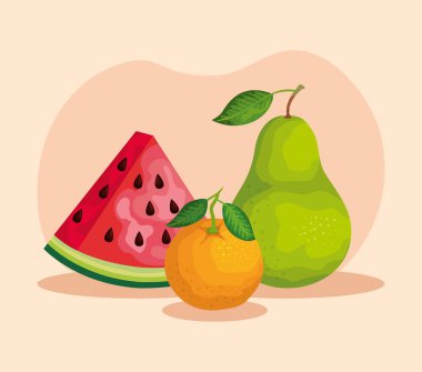 portakal ve armut meyve ile organik karpuz