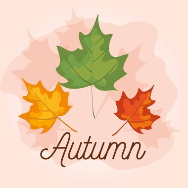 doğa dalları bitkiler ile sonbahar yaprakları