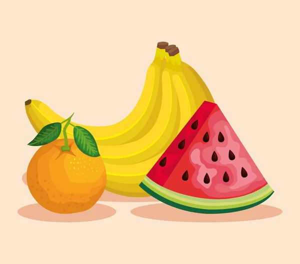 Köstliche Orange mit Bananen und Wassermelone Bio-Obst — Stockvektor